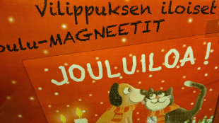 Vilippus magneetit